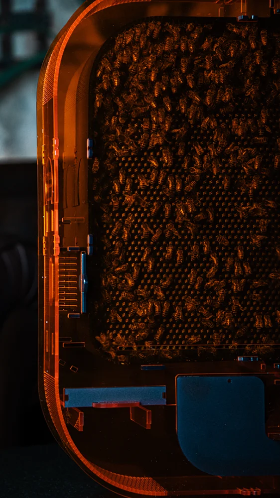FUTURA INNOVATIVE SOLUTIONS košnica za apiterapiju u kući Futura 3023