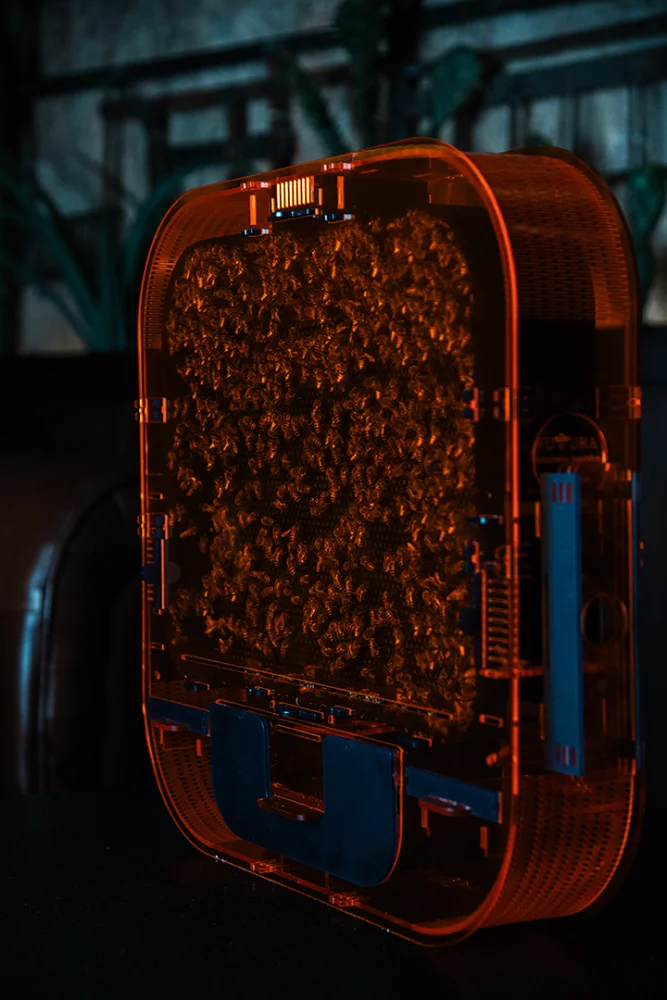 FUTURA INNOVATIVE SOLUTIONS košnica za apiterapiju u kući Futura 3023