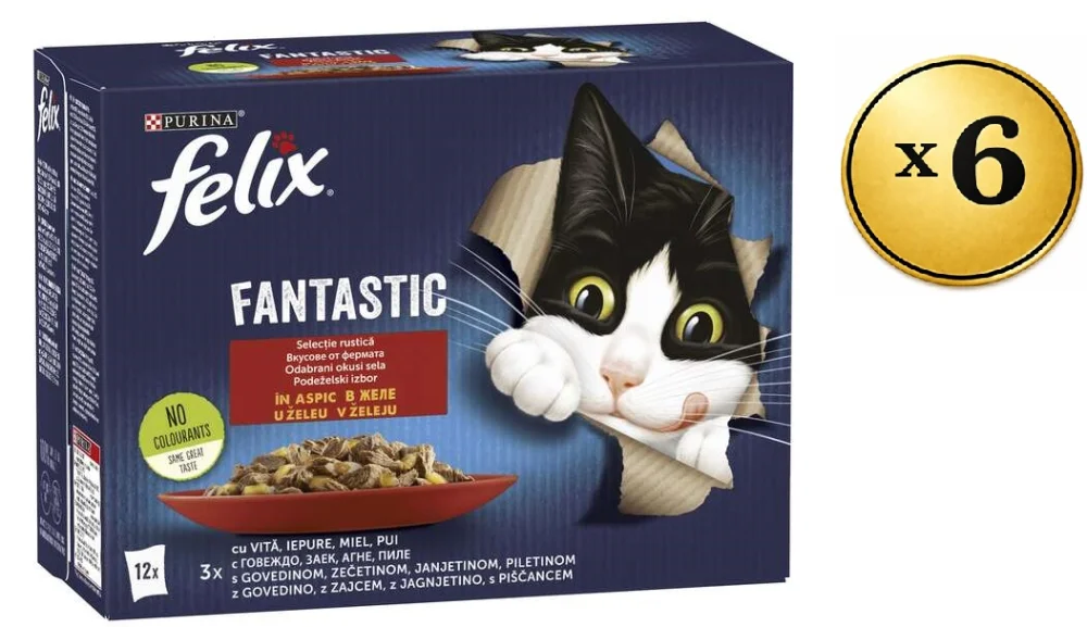 Felix Prelivi multipack, 72x85g