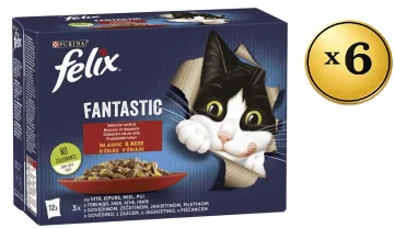 Felix Prelivi multipack, 72x85g
