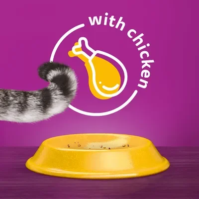 Whiskas Suva hrana za odrasle mačke Adult, Piletina, 14 kg